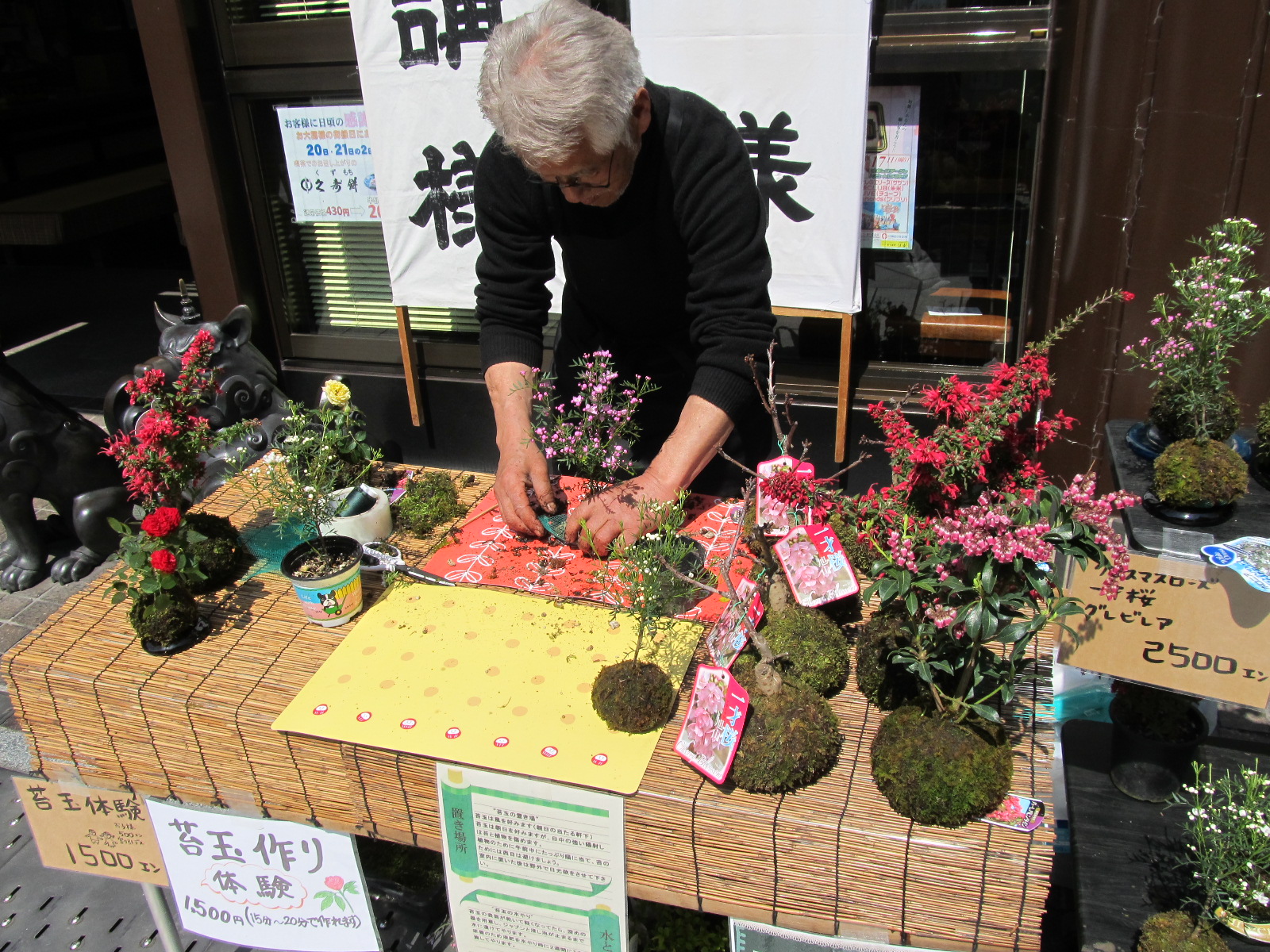 苔玉の実演販売です。